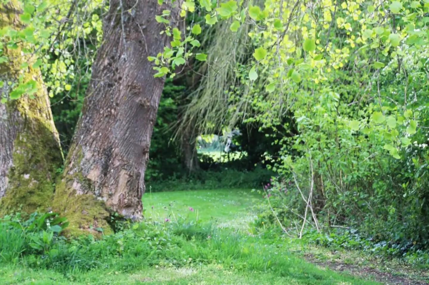 Charmant Cottage 8 Personnes En Normandie Cleuville Exteriör bild